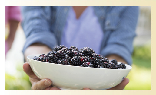 Woman holding a bowl of black berries